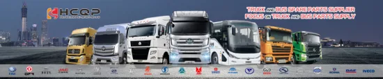 Sinotruk HOWO A7, HOWO 371, T7h, C5g, G5X, C7h, C6g, C5h, T7h, T5g, M5g, D7b, N5g, N6g, N7g und andere LKW-Ersatzteile der gesamten Serie, Motorersatzteile, Fahrgestelle