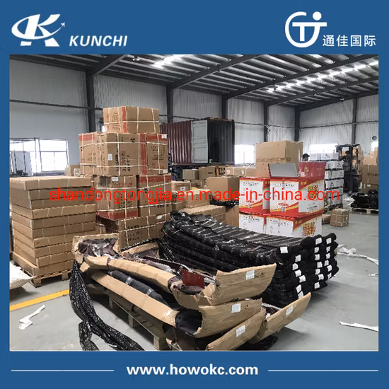 Sinotruk Ersatzteile Kupplungsfreigabelager Sino HOWO A7 LKW-Ersatzteile Wg9725160510